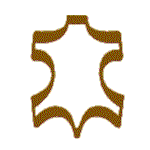 skinn logo